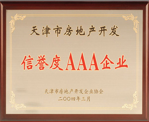 天津市房地产开发信誉度AAA企业
